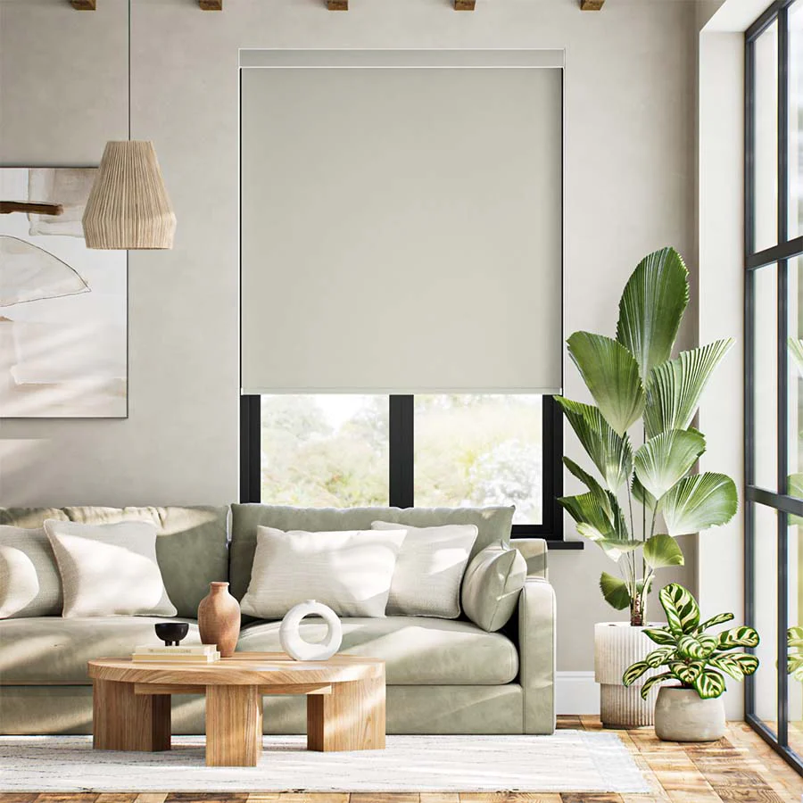 Product image 100